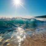 ARENALES DEL SOL, MEDITERRANEAN GASTRONOMY