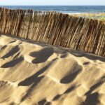 Sabores del mar y Secretos de la playa